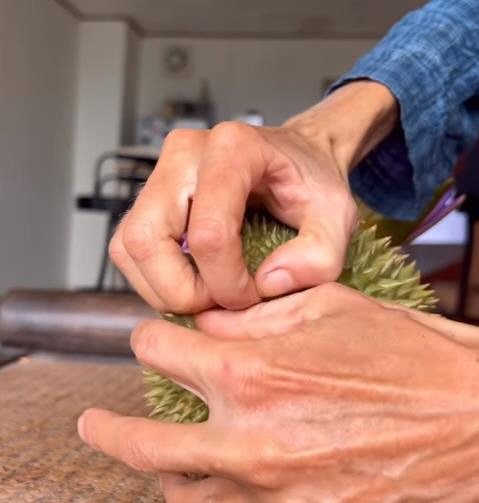 삼소노바의 마지막 인스타그램 게시물. 앙상한 손으로 두리안을 해체하고 있다.[인스타그램 캡처]